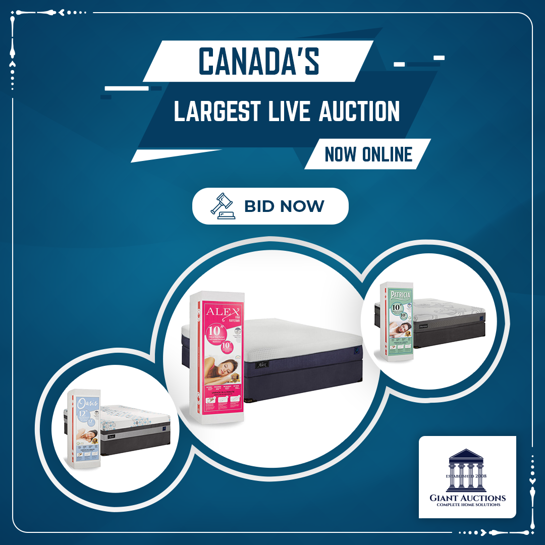 travel auctions canada